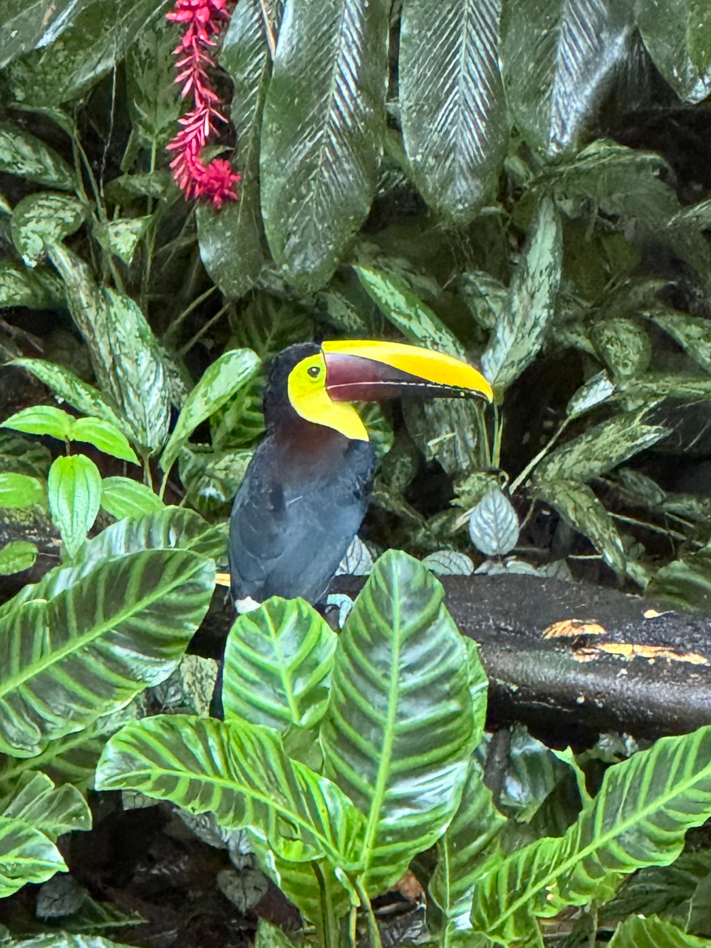 Cultural & Nature Tours